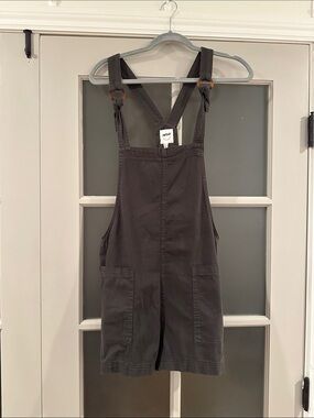 Aerie Overalls
